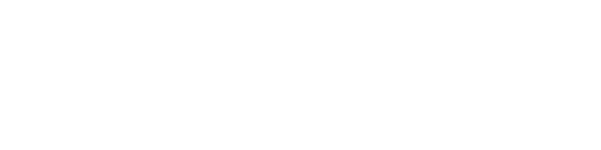 Logo TR White